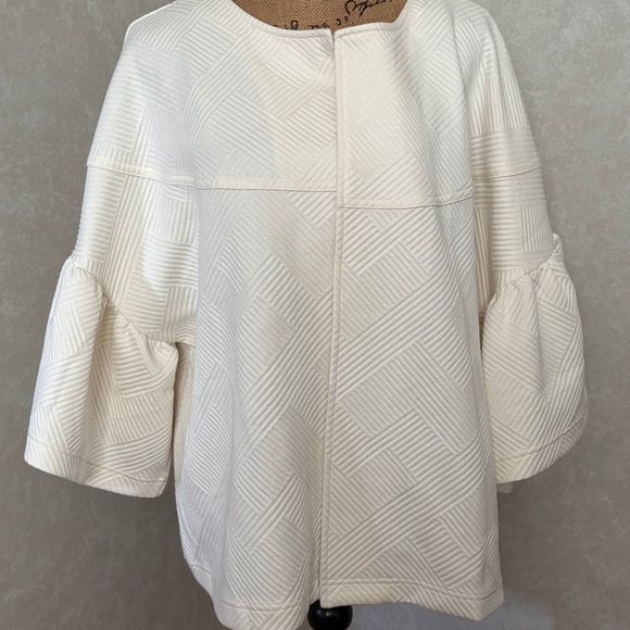 See N Be Seen + Jackets & Blazers - SEE N BE SEEN + WOMAN'S JACKET 2X